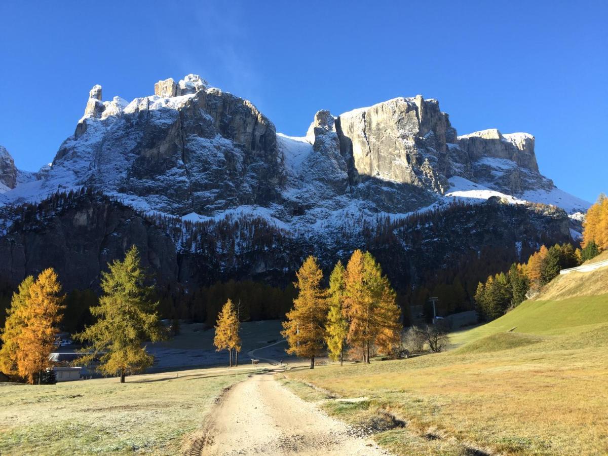 Piz Alpin B&B Colfosco Bagian luar foto